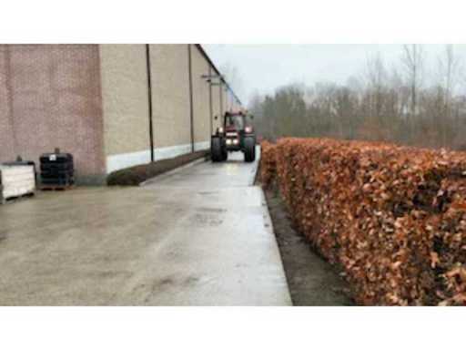 4733baab-fb7c-4371-941d-58724191fa5c.mp4