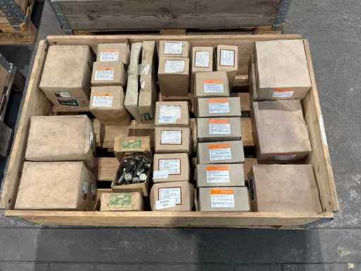 Charge von Schrauben mit Muttern (825x)