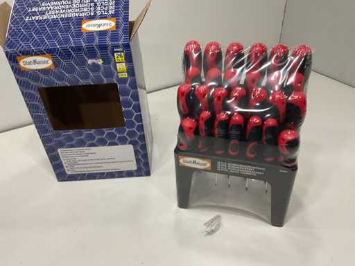 Set di cacciavite da 25 pezzi