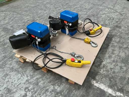 2010 GIS Electric Chain Hoist (2x)