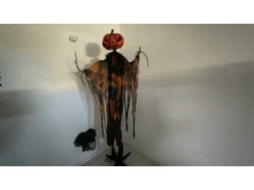 4566ff47-368e-4f05-8805-136f3dea4539.mp4