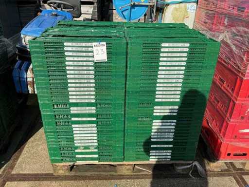 Europool Systeem 156/216/256 Partij vouw kratten