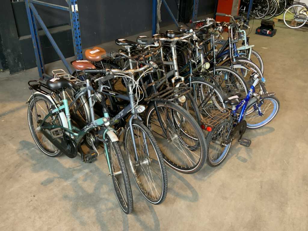 Various brands and models City bike (11x)