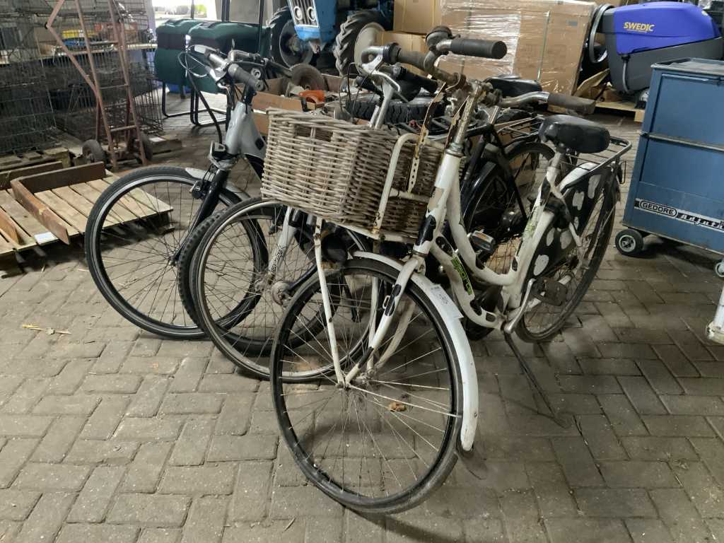 Fahrrad (4x)