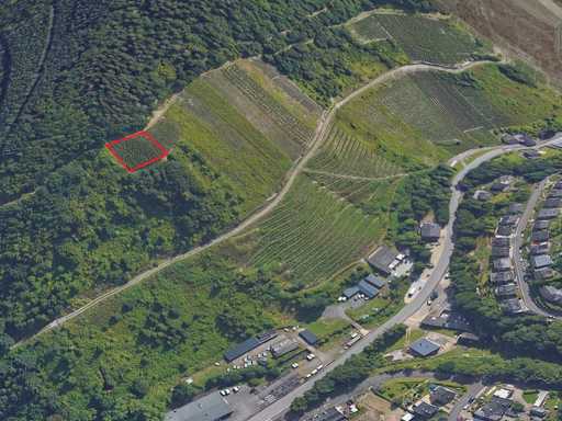 Ex vigneti 840 m², possibilità di riqualificazione a Zell - Germania