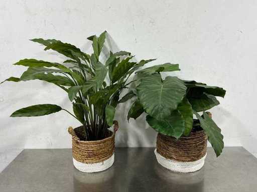 Kunstplant (2x)