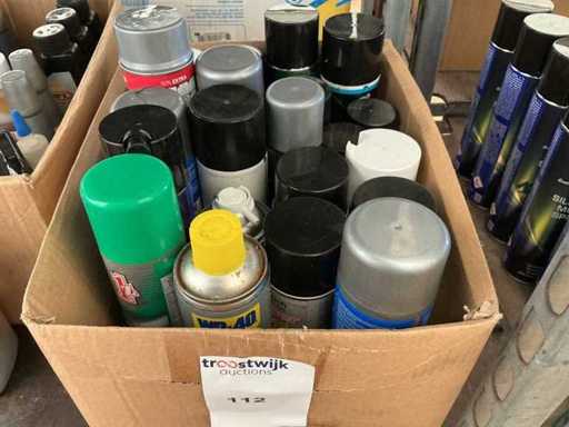 Divers aérosols d’entretien automobile