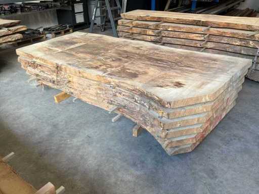 Tree trunk scale (6x)