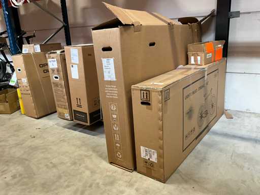 Elektrische fiets (5x)