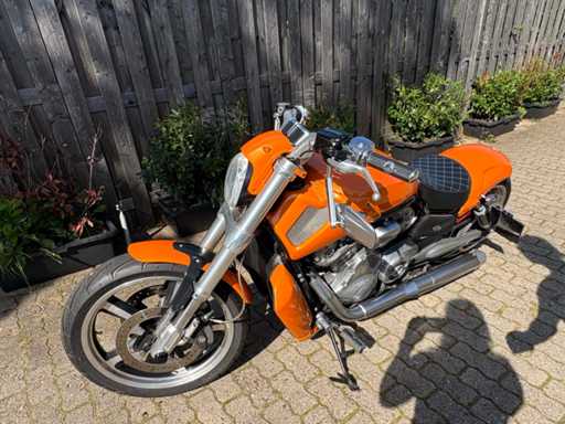 HARLEY DAVIDSON V-Rod Muscle (VRSCF)