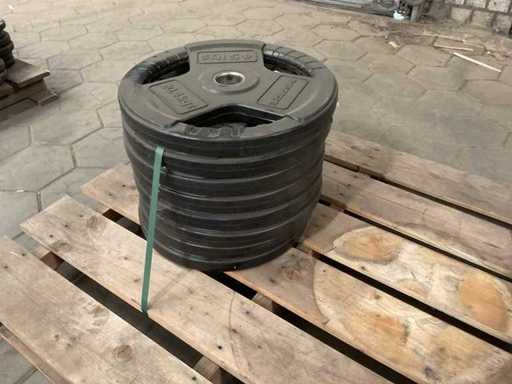 Pesi Inspire 20,4kg (8x)
