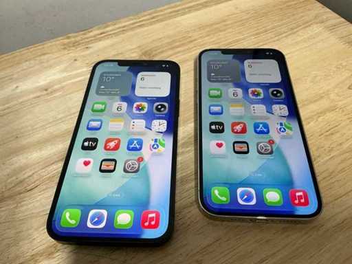 Apple iPhone 12 Pro Max Mobile telefon (2x)