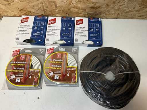 Ellen Diverși excluderi la draft (6x)