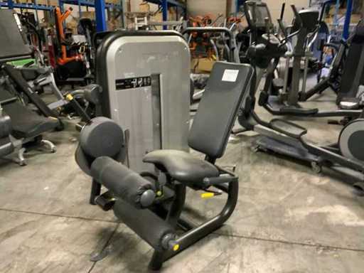 Technogym élément flexion assise pour jambes Multi-gym