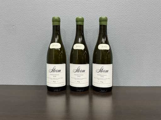 Storm Wines, Chardonnay 'Ridge', 2022 (3x)