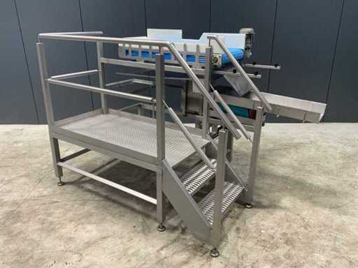 Edelstahlplattformen mit Förderband und vibrierendem Zubringer