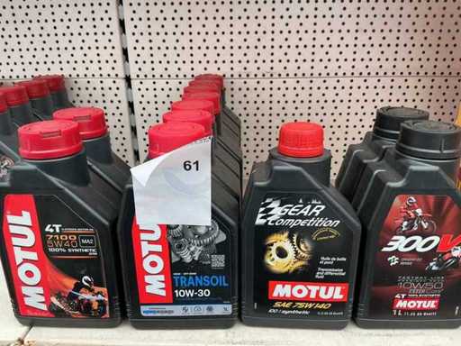 Motul inhoud 1 liter Synthetisch 4 Takt Motor olie(11)