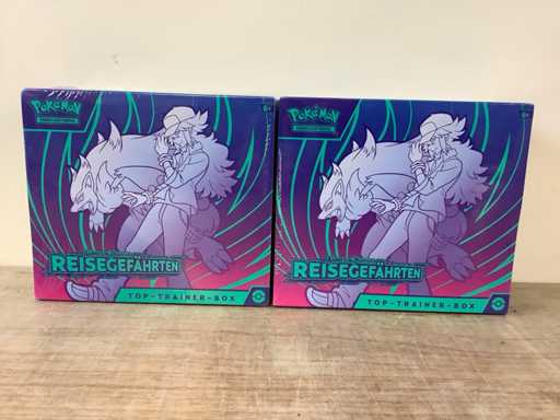 Pokemon KP09 Educational (2x)