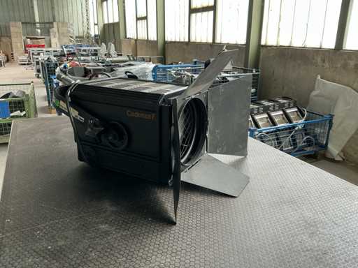 Rank Beach Cadenza F Par Spotlight (13x)