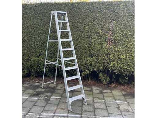Ladder