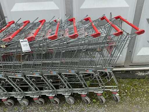 Einkaufswagen (10x)