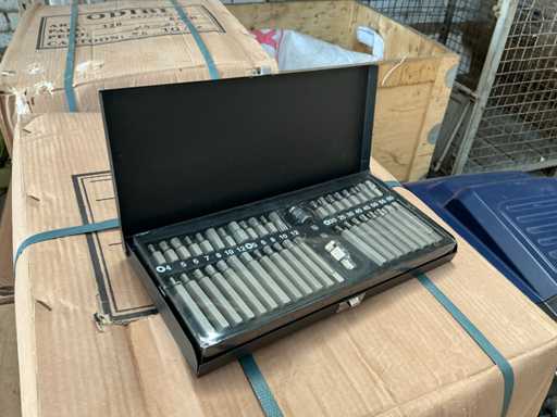 Stahlkaiser 42-piece bit set (5x)
