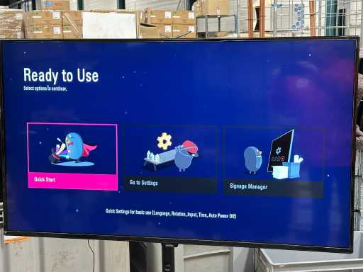 LG - set of 2 pieces 55-inch Full HD large format screens (including wall bracket)