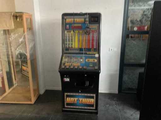 Bell-Fruit Games Hot Twin Spielautomat