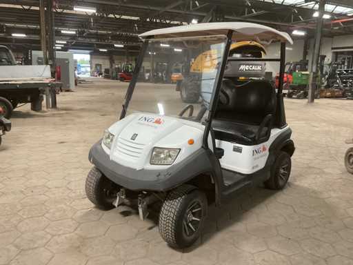 2019 Bensel cars BSN2 Golfkar