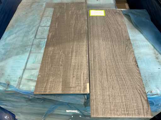 Sintesi Gres Porcellanto 600x200 vloertegel 53M²