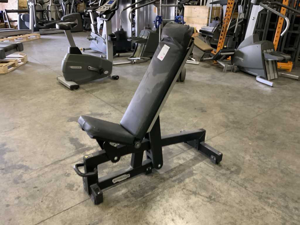 technogym pure adjustable bench Multi gym