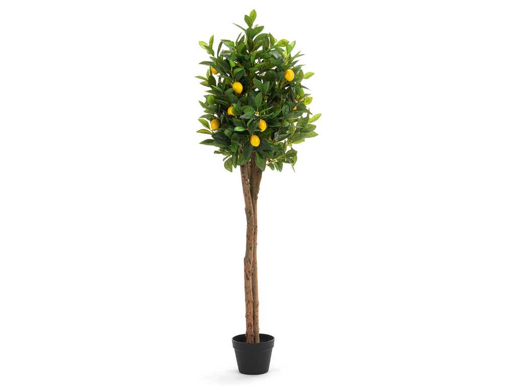5 x Lemon tree - Artificial plant - 150 cm