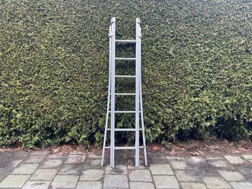 Reform ladder