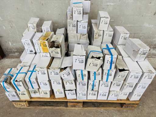 VYNEX – (X130-Boxen) Rundkopfschrauben, quadratischer Kragen – Zinkbeschichteter Stahl – Verschiedene Durchmesser und Längen