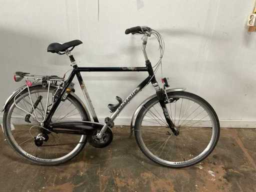 Gazelle Bahia trekking & trail Bicicletta maschile