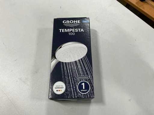 Grohe Tempesta 100 Handdusche (5x)
