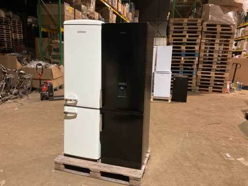 Severin & Exquisit Koelkast (2x)