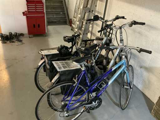 Electrische fiets 2x en racefiets (3x)