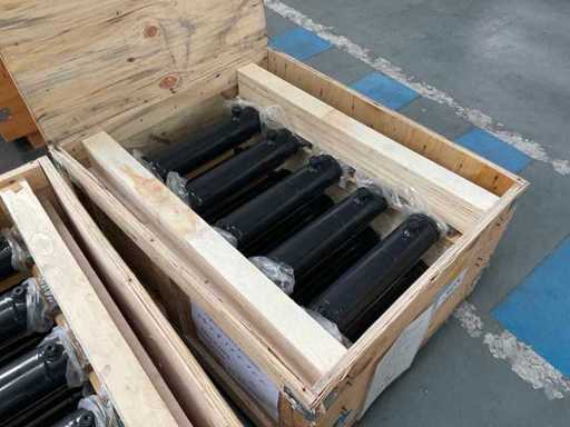 80/40*250 hydraulische cilinder (10x)