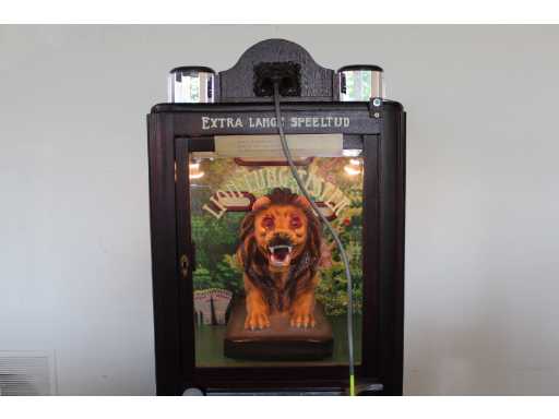 The Lion Speelautomaat