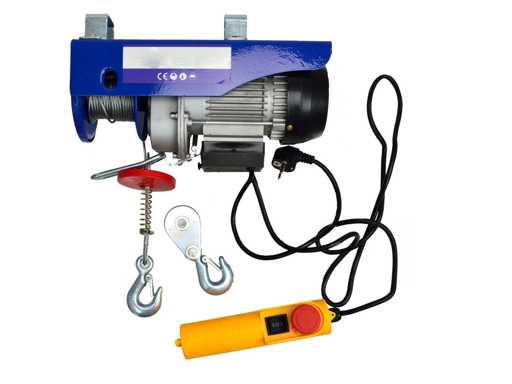 Electric hoist 300kg 