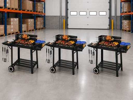 Barbecue Charcoal with Rotisserie (3x)