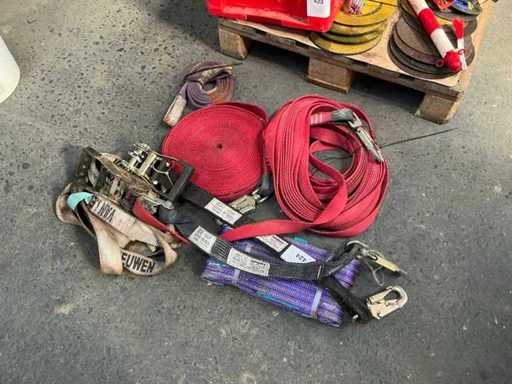 Batch of belts and tensioners