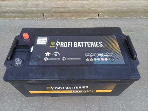 Profi Batteries Semi Traction SMF 12V 180Ah