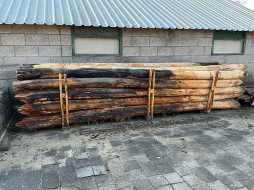 Robinia posts Ø 160-180mm peeled and pointed - 5000mm.