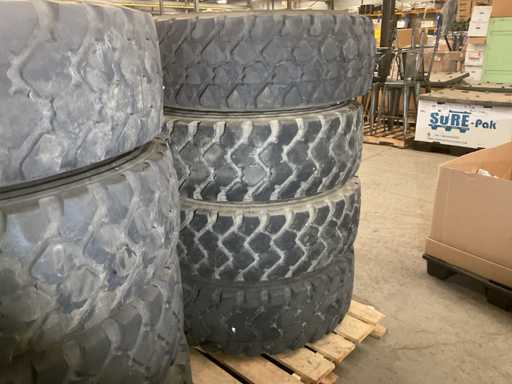 Michelin Tire (4x)