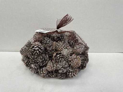 Sylvester Washed white Netje dennenappels (258x)