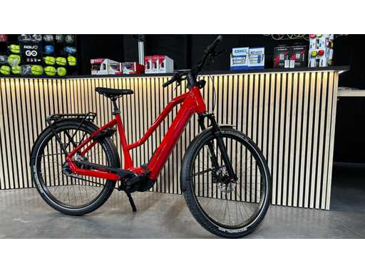 Flyer - Upstreet 7.23 (new) - Electric bicycle