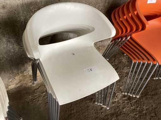 Sedie in plastica struttura in metallo (5x)