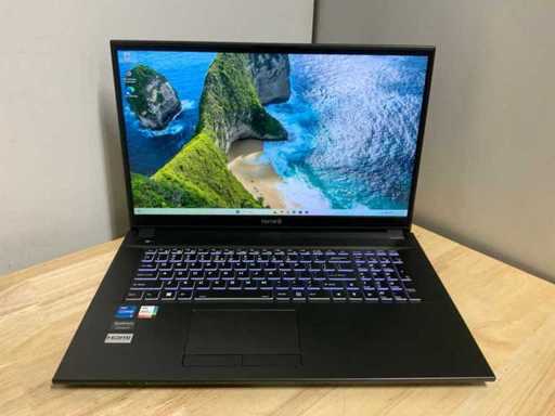 Terra 1716T Laptop